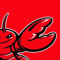 OpenClaw Security Posture Scanner